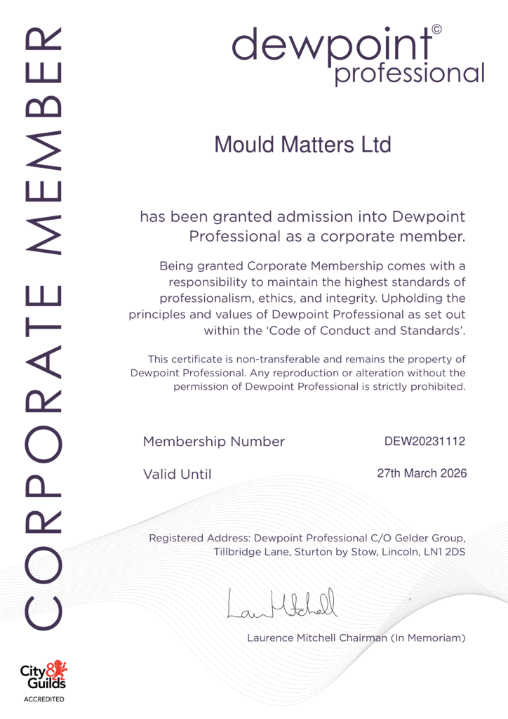 Mould-Matters-724x1024 (1) Mould Matters