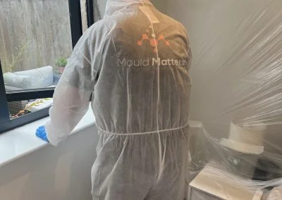 mould specialist