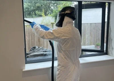 mould removal services