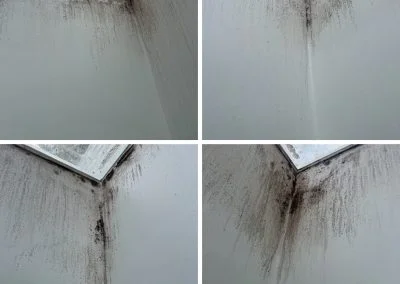 mould