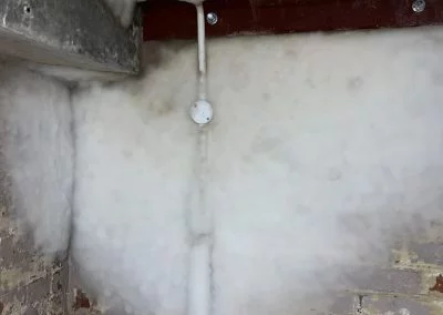mould