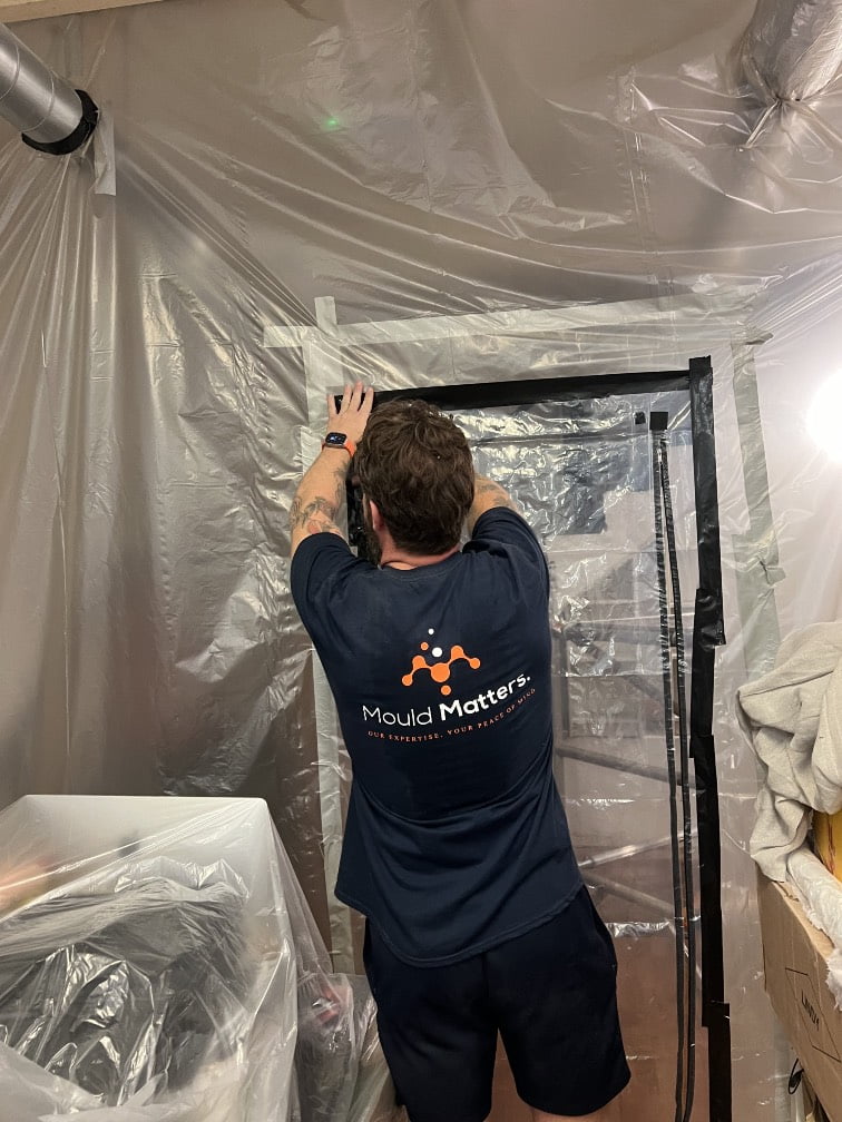 IMG_0595 mould remediation