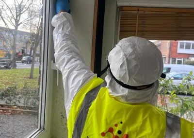 mould inspection