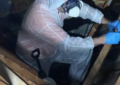 mould inspection