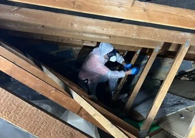 mould inspection