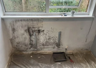 mould removal
