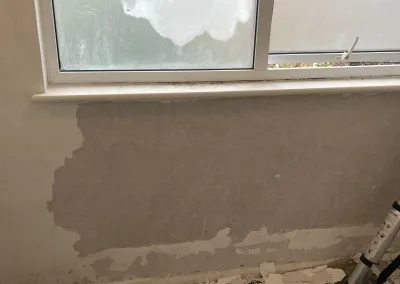 mould removal services