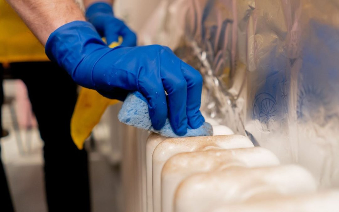 Top 5 Hidden Signs You Need Urgent Mould Remediation in Your Property