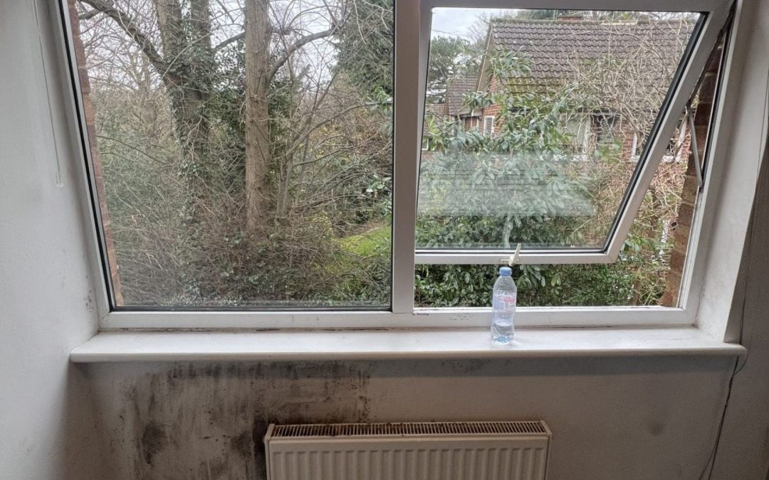 How Advanced Technology Helps to Improve Mould Inspection Accuracy?