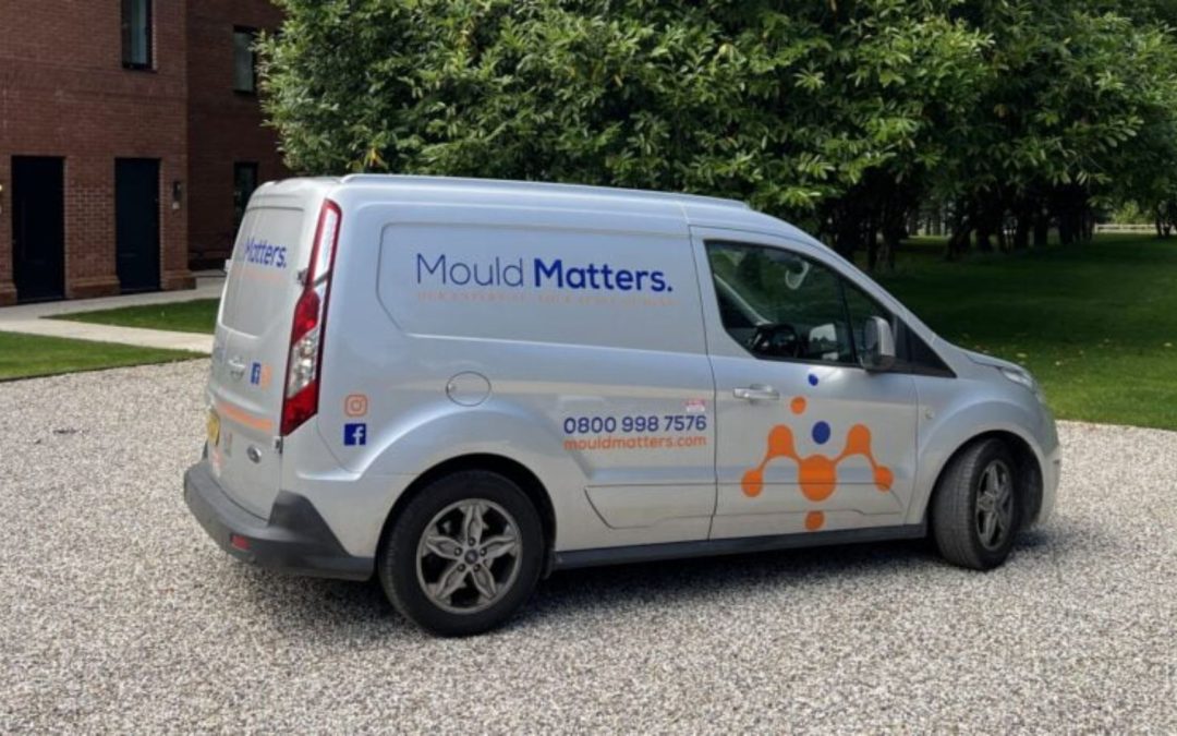 How Mould Develops Indoors And Why It Spreads So Quickly